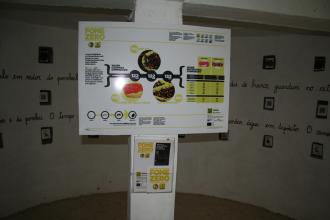 Téma představuje informační panel Museo Mundial_PT_Insects_2