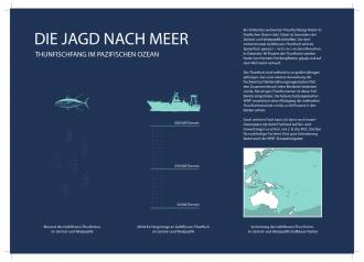 Die Informationstafel der Installation zum Thema Überfischung