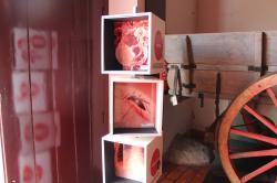 An overview of the installation on global diseases Museo Mundial_PT_Health_1