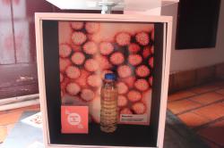 Each cube represents one of the deadliest diseases in the world Museo Mundial_PT_Health_2