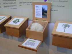 When open, the boxes display samples of the product as well as pictures and facts about the origin country and working conditions for local farmers Boxes_Trade