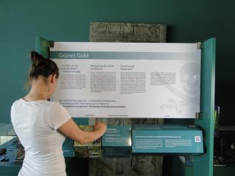 A visitor playing the biopiracy “game” Besucher_Biopiracy