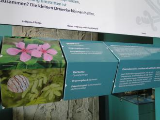 The arrows indicate to the visitor when she/he has matched the reels correctly Rad_Biopiracy