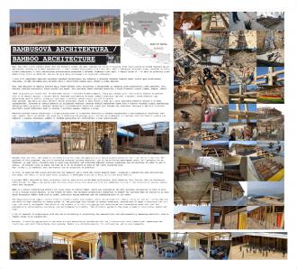 Hatalmas poszter a növényről és információ a MELA projektről Museo Mundial_CZ_Bamboo_2