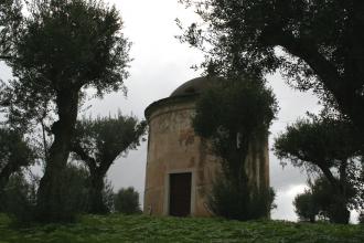 Museo Mundial_PT_Insects